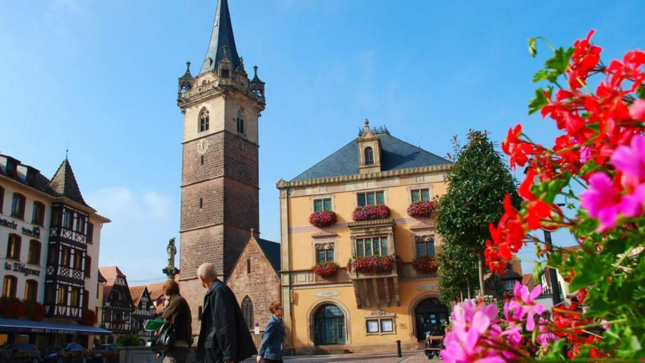 Gite Terredhelene calme proche Strasbourg et tous commerces profitez en Berstett Extérieur photo