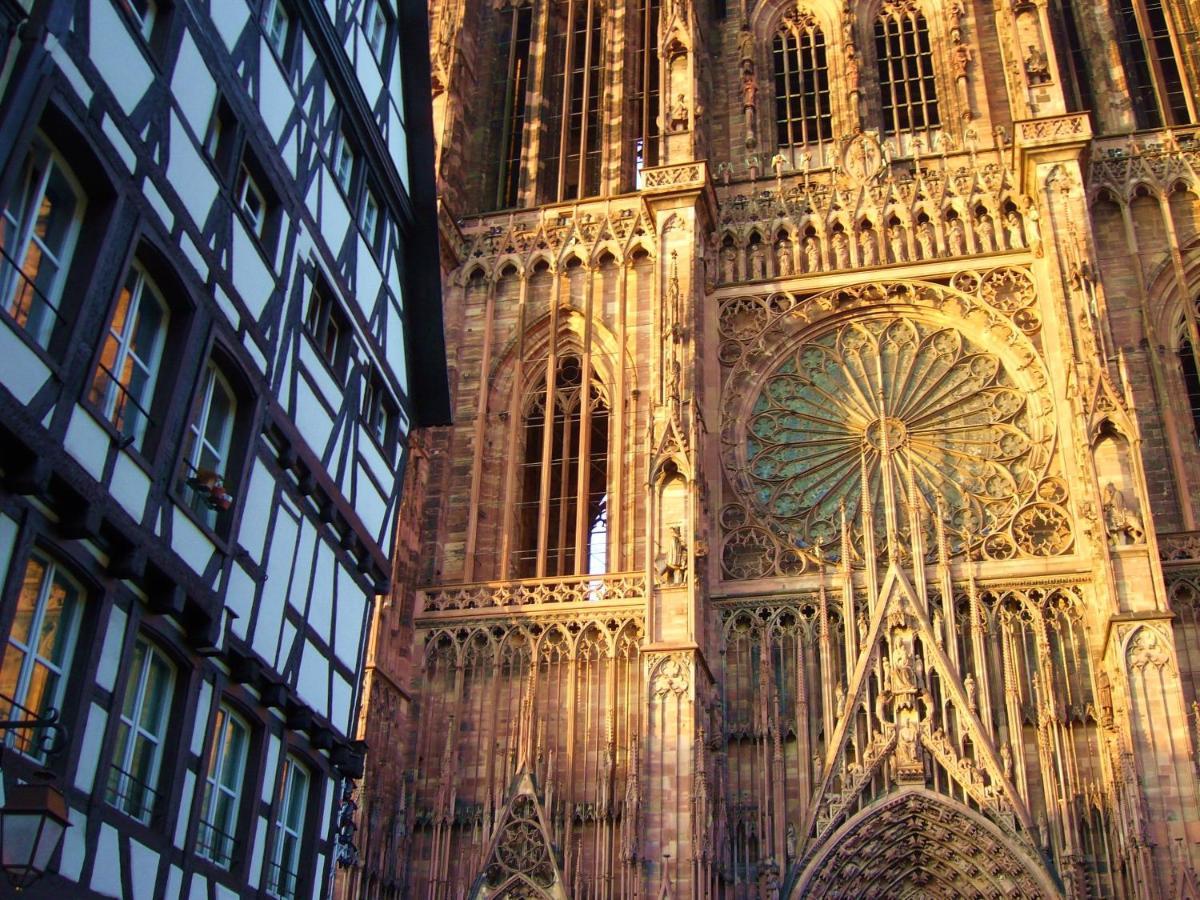 Gite Terredhelene calme proche Strasbourg et tous commerces profitez en Berstett Extérieur photo