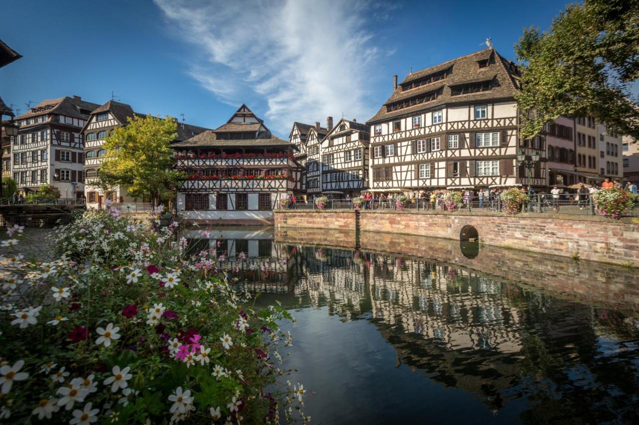 Gite Terredhelene calme proche Strasbourg et tous commerces profitez en Berstett Extérieur photo