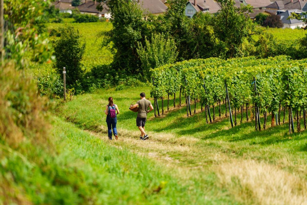 Gite Terredhelene calme proche Strasbourg et tous commerces profitez en Berstett Extérieur photo